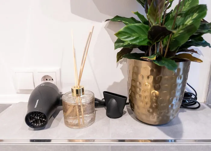 アパート Loreley Am Rhein, Moderne & Vollausgestatte 40qm, Kueche, Netflix, Wm コブレンツ